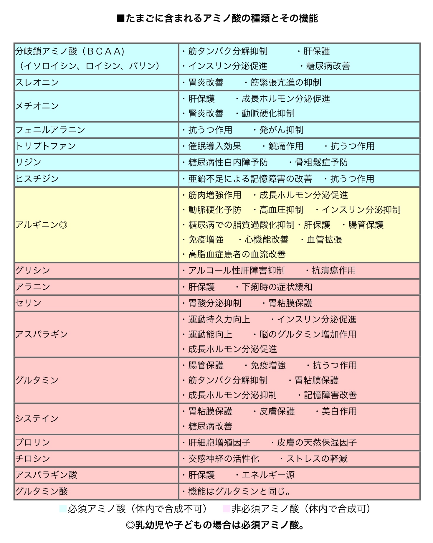 鶏卵に含まれるアミノ酸の種類とその機能